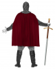 Noble Knight Costume 