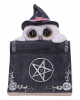 Owl With Pentagram Spell Book 15cm 