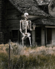 Gigantisches Halloween Skelett 3 Meter 