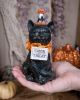 Halloween Clowns Cat With Trick Or Treat Sign 15cm 