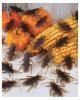 Cockroaches 40 pieces 