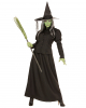 Fairy Witch Costume 