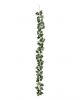 Multicolor Ivy Garland 180cm 