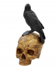 Salem Skull With Raven 