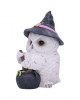 Snowy Owl With Witch Cauldron 