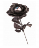 Black/grey Rose With Eyeball 