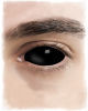 Sclera contact lenses black 