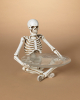 Schneidersitz Skelett mit Glasteller 27 cm 