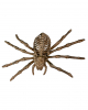 Skeleton Spider 24cm 
