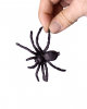 Deep Black Spiders 8x7cm In A Set Of 6 