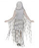 Enchanted Ghost Fairy Ladies Costume 