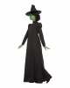 Wicked Witch Costume For Adults 