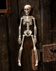 Halloween Skeleton 40 Cm 