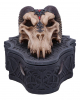 Dragon Skull Skull Box 17.7cm 