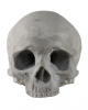 J. DOE Skull 17cm 
