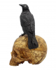 Salem Skull With Raven 