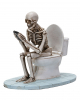 Skeleton On The Toilet Bowl 