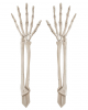 Zwei Skelett-Arme als Gartendeko 44cm 