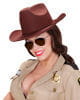 Sheriff Hut Braun 