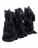 Drei weise schwarze Katzen 