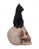 Schwarze Katze auf Totenschädel 24,3cm 