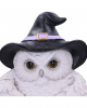 Snowy Owl With Witch Hat Door Knocker 21cm 