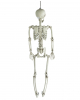 Hängefigur Skelett Torso 90cm 
