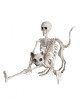 Skelett Katze mit Katzenbuckel als Deko 19cm 