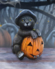 Trick Or Treat Cat With Pumpkin Figure 13cm 
