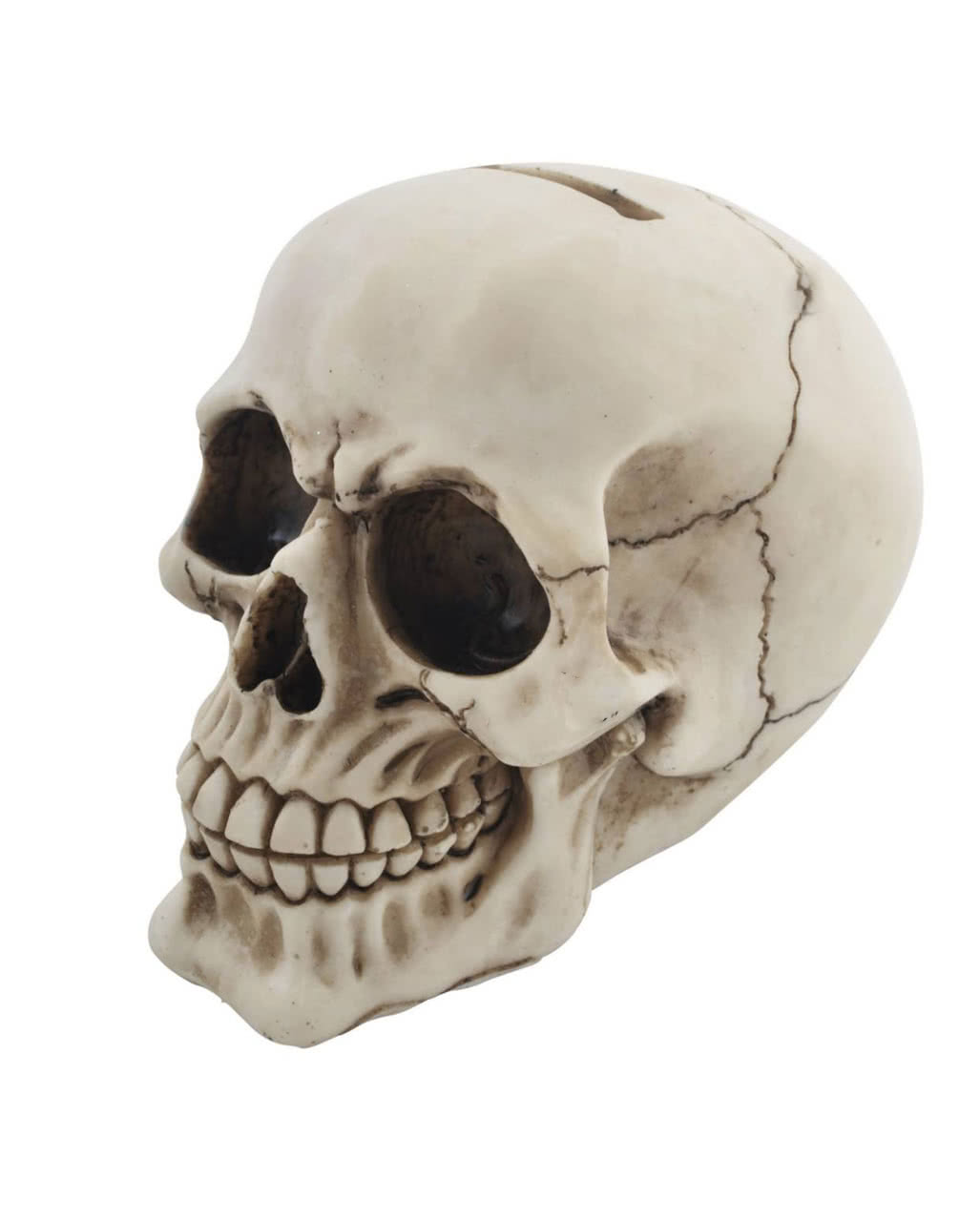 Totenkopf Figur Skull Spardose Geld Geschenk  Mitbringsel 