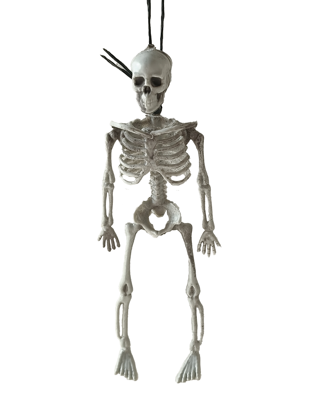 Halloween Skelett Hängefigur 18cm 🎃 JETZT ordern!