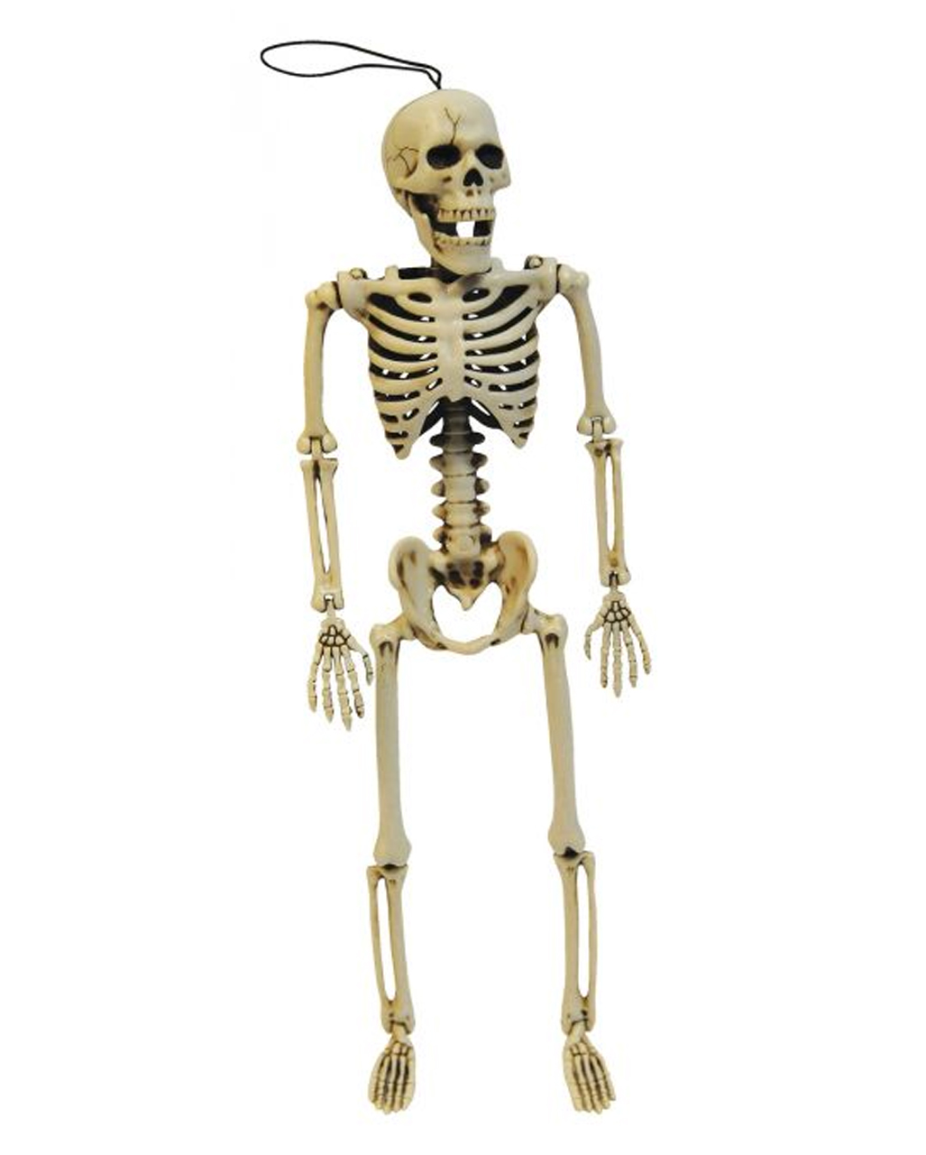 https://inst-0.cdn.shockers.de/ku_cdn/out/pictures/master/product/1/positionierbares-skelett-35-cm-posable-skeleton-halloween-skelett-verstellbar-52662.jpg