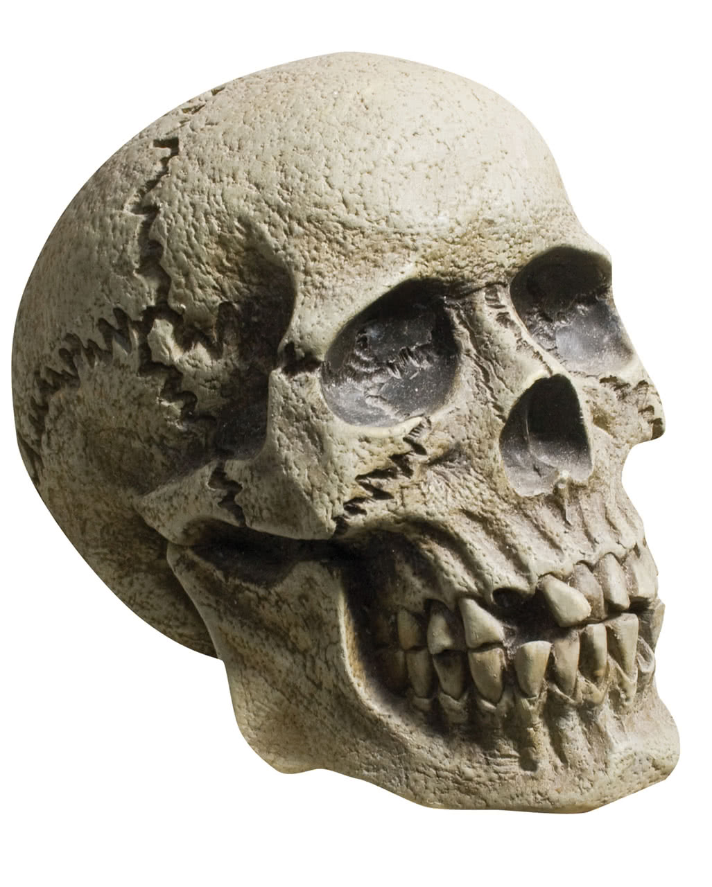 Verwitterter Skull Totenkopf als Halloween Deko