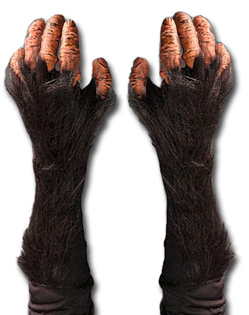 chimpanzees gloves