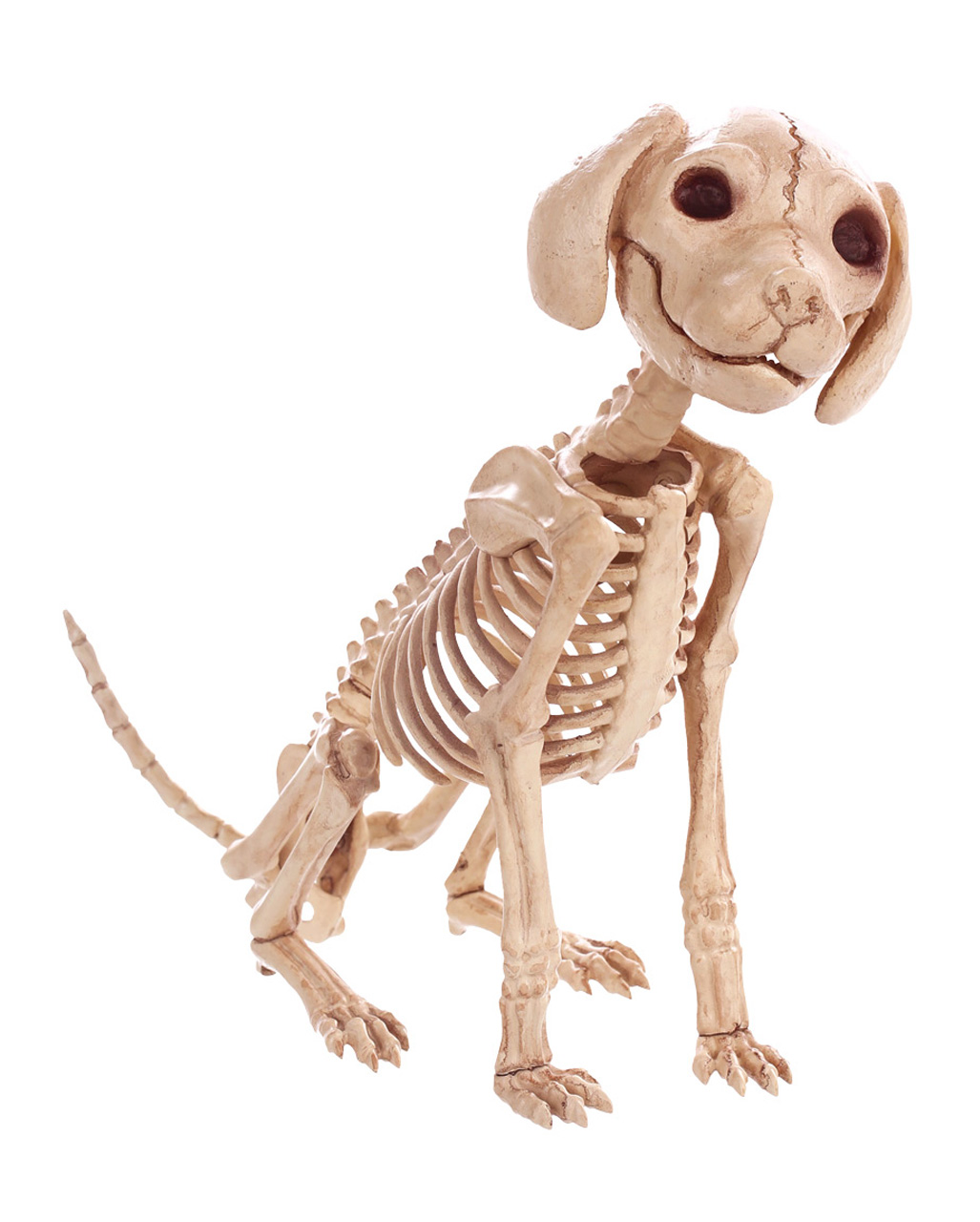 Sitzendes Hundeskelett 30 cm für Halloween kaufen