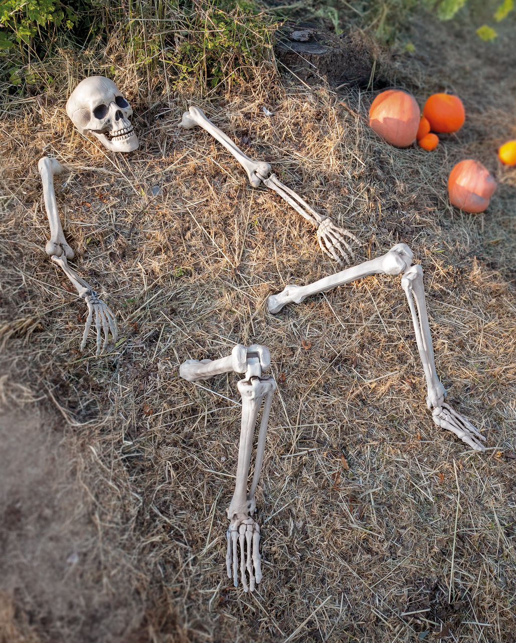 Halloween Skelett für den Garten, Halloween Deko Garten