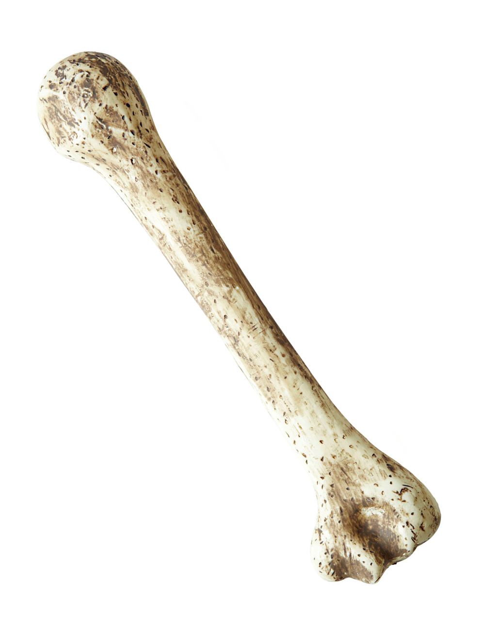 Fluoreszierende Knochen Steinzeit Skelettknochen Neandertaler Riesenknochen Deko 