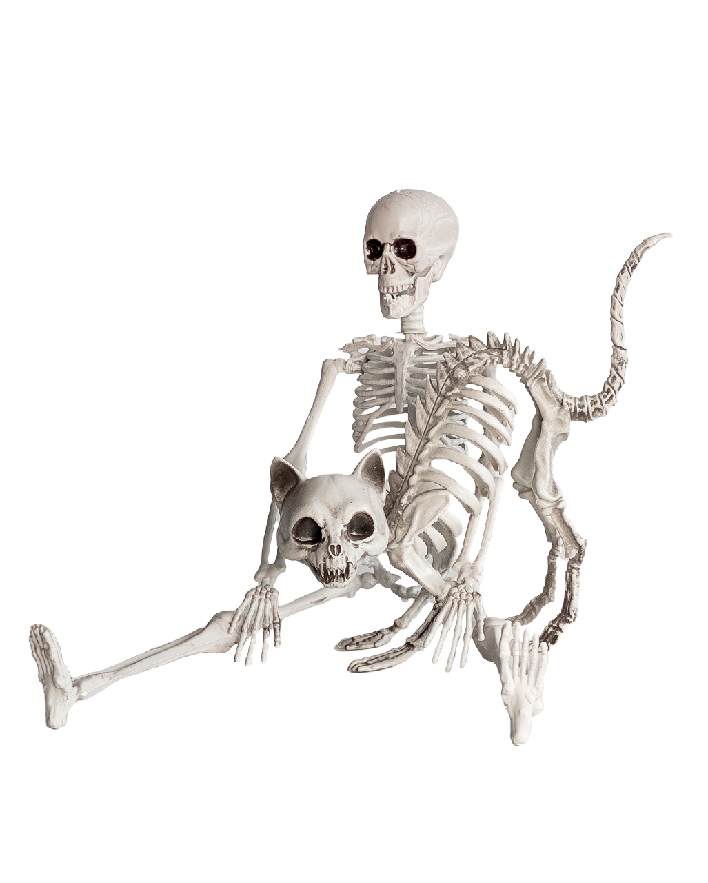 Wackelndes Skelett animiert Halloween Deko weiß